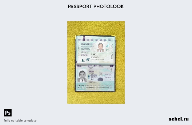 цифровая загрузка шведского паспорта, новый шаблон фотоизображения подарка